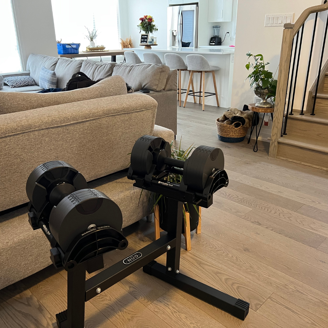 NUOBELL 50LB (PAIR) + STAND